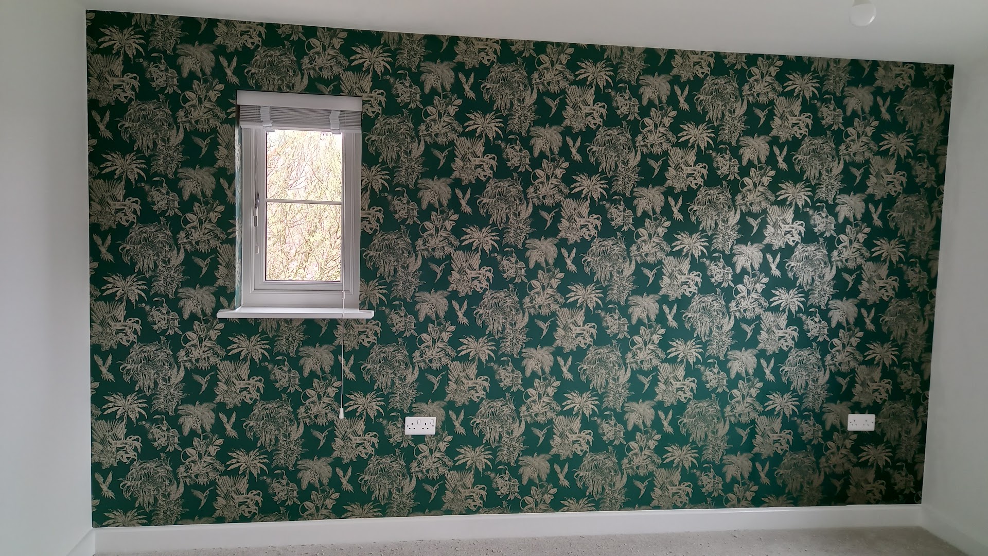Mark Warne Weston-super-Mare Painter & Decorator — Photos 6